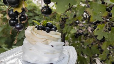 Tatlı Anna Pavlova beze beyaz dolgu ve siyah frenk üzümü, nane yaprakları ile beyaz.