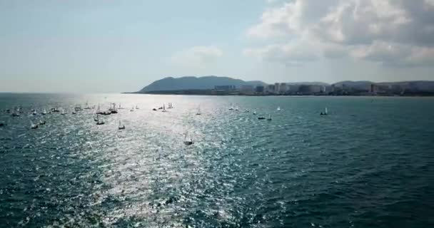 Competition Small Yachts Sail Black Sea Novorossiysk Aerial Surveying Overflight — Stock Video