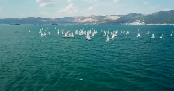 Competition Small Yachts Sail Black Sea Novorossiysk Aerial Surveying Overflight — Stock Video