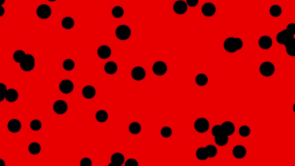 Black and white polka dot background — Stock Video