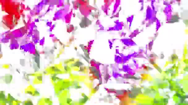 Transformer le fond géométrique futuriste abstrait. Images animées en boucle .