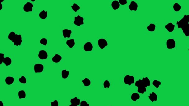 Polka dot spots on green screen background. — Stock Video