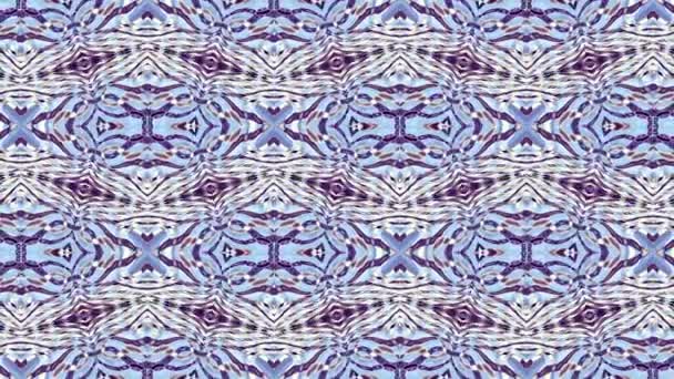 对称抽象迷幻图案 带着迷幻嬉皮士风格的抽象镜头 循环画面 — 图库视频影像