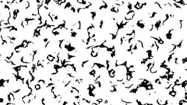 Soyut geometrik arka plan. Polka nokta deseni. Animasyonlu döngü görüntüleri.