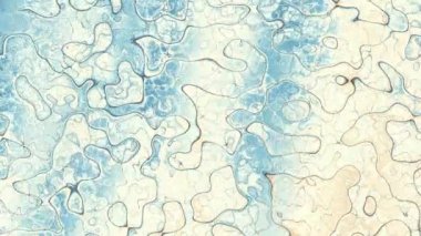 Rastgele dalgalı dokuyu hareket ettiriyorum. Psychedelic animasyonlu arka plan. Döngü görüntüleri.