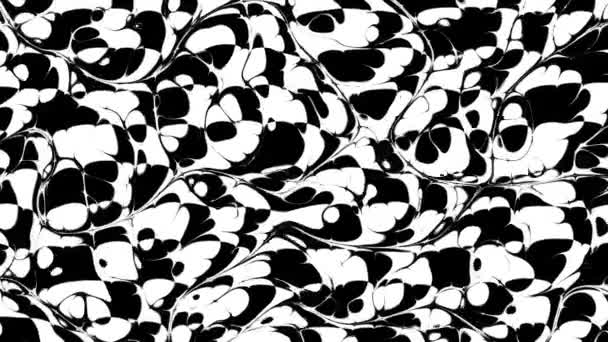 Transforming simple black and white geometric shapes. Looping footage. — Stock Video