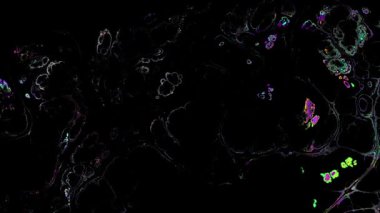 Psikedelik hareket arkaplanı