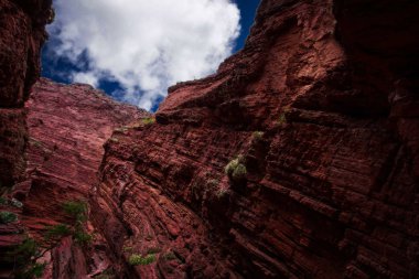 Şeytanın boğazının güzel bir görünümü, Cafayate, Salta.