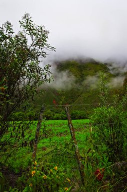 Escoipe 'nin güzel manzarası, Salta, Arjantin