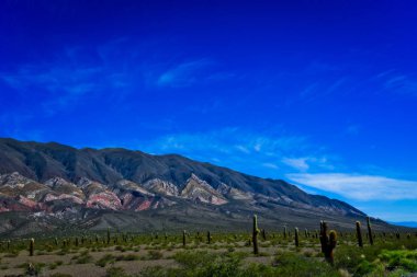 A view of Los Cardones National Park in Salta, Argentina clipart