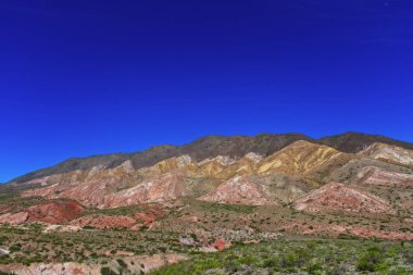 Salta, Arjantin 'deki Los Cardones Ulusal Parkı manzarası