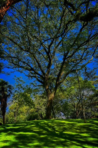 Vue Colline San Bernardo Salta Argentine — Photo