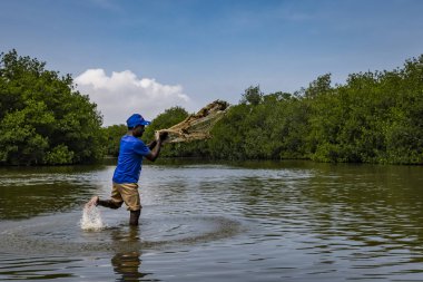 Cartagena de Indias, Kolombiya - 05 / 29 / 2018: Mangrove bataklığında çalışan bir balıkçı