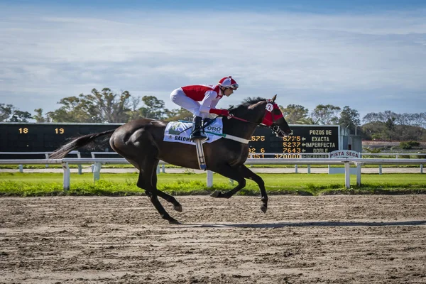 Buenos Aires Argentina 2018 Una Carrera Caballos — Foto de Stock