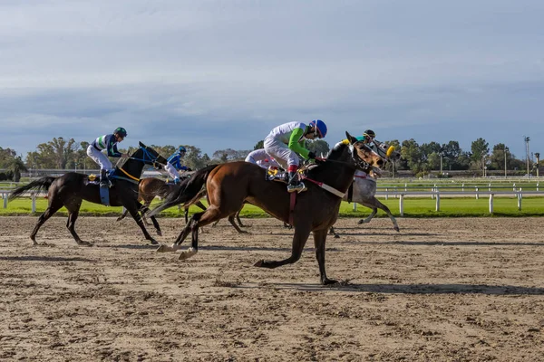 Buenos Aires Argentina 2018 Una Carrera Caballos — Foto de Stock