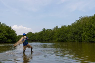 Cartagena de Indias, Kolombiya - 05 / 29 / 2018: Mangrove bataklığında çalışan bir balıkçı