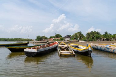 Cartagena de Indias, Kolombiya 'daki Mangrove bataklığında kanolar