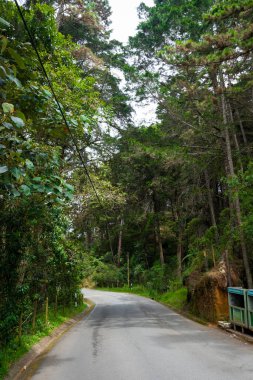 Medellin, Kolombiya - 06 / 01 / 2018: Arvi Park manzarası
