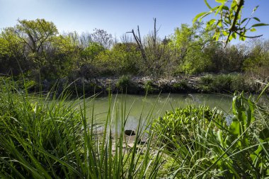 Paseo de la Costa (Sahil Yürüyüşü), Olivos, Buenos Aires Eyaleti, Arjantin
