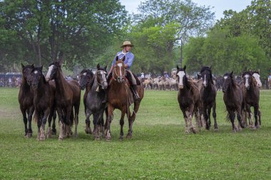San Antonio de Areco, Buenos Aires Eyaleti, Arjantin - 11 / 10 / 2019: 80. Ulusal Gelenek Festivali 'nde atlarını gösteren bir atlı