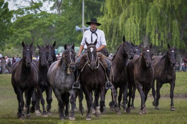 San Antonio de Areco, Buenos Aires Eyaleti, Arjantin - 11 / 10 / 2019: 80. Ulusal Gelenek Festivali 'nde atlarını gösteren bir atlı