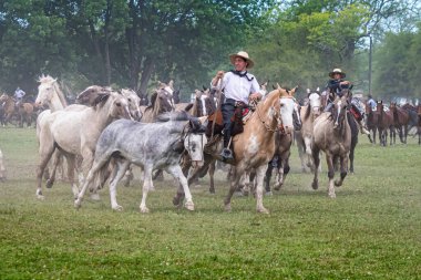 San Antonio de Areco, Buenos Aires Eyaleti, Arjantin - 11 / 10 / 2019: 80. Ulusal Gelenek Festivali 'nde atlarını gösteren bir atlı