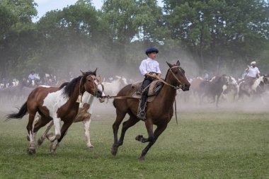 San Antonio de Areco, Buenos Aires Eyaleti, Arjantin - 11 / 10 / 2019: 80. Ulusal Gelenek Festivali 'nde atlarını gösteren bir atlı