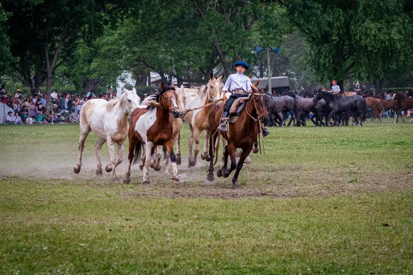 San Antonio Areco Provincia Buenos Aires Argentina 2019 Gaucho Mostrando — Foto de Stock