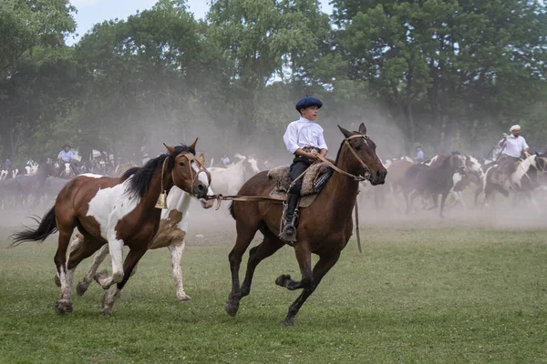 San Antonio Areco Buenos Aires Province Argentina 2019 Gaucho Showing — Stock Photo, Image