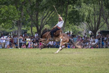 San Antonio de Areco, Buenos Aires Eyaleti, Arjantin - 11 / 10 / 2019: 80. Ulusal Gelenek Festivalinde bir atlı