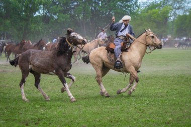 San Antonio de Areco, Buenos Aires Eyaleti, Arjantin - 11 / 10 / 2019: 80. Ulusal Gelenek Festivali 'nde atlarını gösteren bir atlı