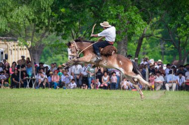 San Antonio de Areco, Buenos Aires Eyaleti, Arjantin - 11 / 10 / 2019: 80. Ulusal Gelenek Festivalinde bir atlı