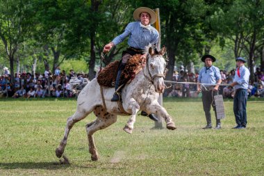 San Antonio de Areco, Buenos Aires Eyaleti, Arjantin - 11 / 10 / 2019: 80. Ulusal Gelenek Festivalinde bir atlı