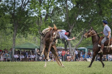 San Antonio de Areco, Buenos Aires Eyaleti, Arjantin - 11 / 10 / 2019: 80. Ulusal Gelenek Festivalinde bir atlı
