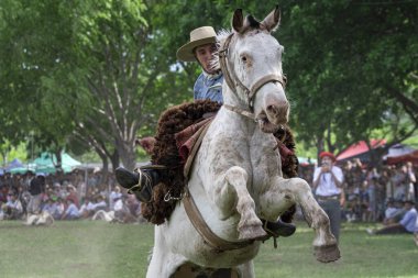 San Antonio de Areco, Buenos Aires Eyaleti, Arjantin - 11 / 10 / 2019: 80. Ulusal Gelenek Festivalinde bir atlı