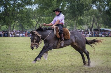 San Antonio de Areco, Buenos Aires Eyaleti, Arjantin - 11 / 10 / 2019: 80. Ulusal Gelenek Festivalinde bir atlı