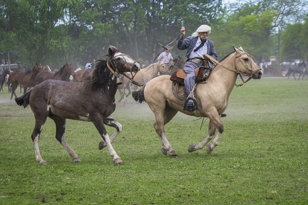 San Antonio Areco Buenos Aires Provins Argentina 2019 Gaucho Som — Stockfoto