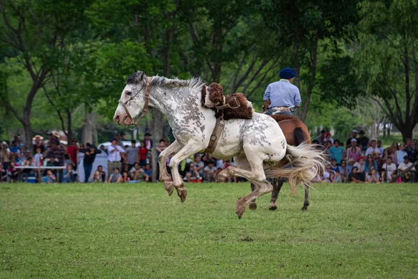 2019年10月11日 阿根廷布宜诺斯艾利斯省圣安东尼奥德阿雷科 在第80届全国传统节日上骑马 — 图库照片
