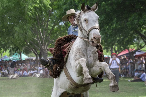 2019年10月11日 阿根廷布宜诺斯艾利斯省San Antonio Areco 第80届全国传统节的一名骑手 — 图库照片
