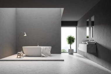 Bir beton zemin, çift lavabo ve bir çatı penceresi ile gri duvar banyo iç. Bir tencerede bir ağaç. 3D render alay