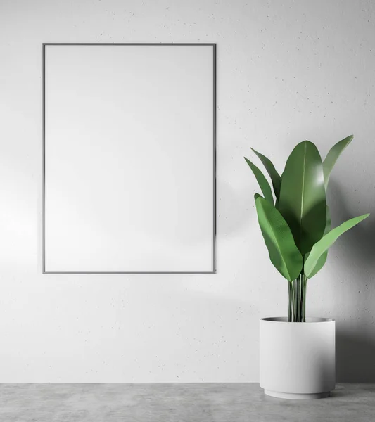 White Empty Room Interior Concrete Floor Potted Plant Vertical Mock — Stock Photo, Image