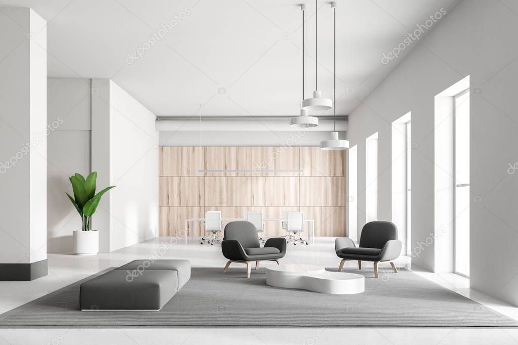 White and wooden office waiting room interior with gray and white armchairs, a rug on the floor and large windows. 3d rendering