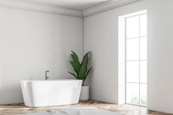 Mur Blanc Mezzanine Coin Salle Bain Avec Plancher Bois Une — Photo