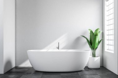 Beyaz duvarları, kiremitli bir siyah zemin ve yakınında bir saksı bitki konumu olan beyaz bir küvet ile minimalist banyo iç. İskandinav tarzı. 3D render alay