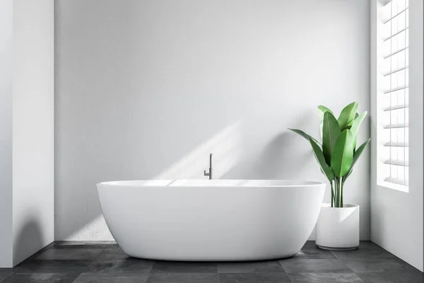 简约浴室内有白色的墙壁 一层平铺的黑色地板 还有一个白色浴缸 旁边有一个盆栽植物 斯堪的纳维亚风格 渲染模拟 — 图库照片