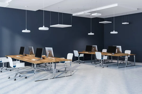Open space office corner with dark blue walls, a concrete floor, rows of wooden computer desks and white chairs. 3d rendering mock up