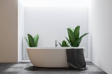 Lüks banyo iç beyaz duvarlı bir gri gri bir havlu üzerinde asılı ile zemin ve beyaz bir küvet döşenir. Saksı bitkileri. 3D render alay