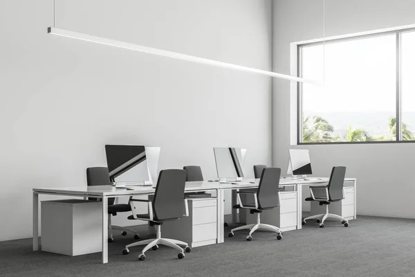 Minimalistic office interior with white walls, a gray carpet on the floor, computer desks and a window with a tropical view. 3d rendering mock up