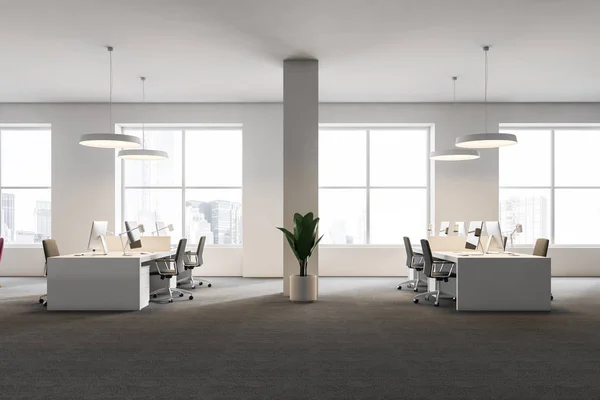 Weißer Büroinnenraum Mit Grauem Teppich Auf Dem Boden Weißen Deckenlampen — Stockfoto