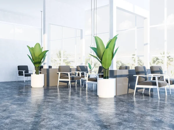 Comfortable restaurant with white walls, panoramic windows with a tropical view, concrete floor, coffee tables and soft gray armchairs. Plants in pots. 3d rendering